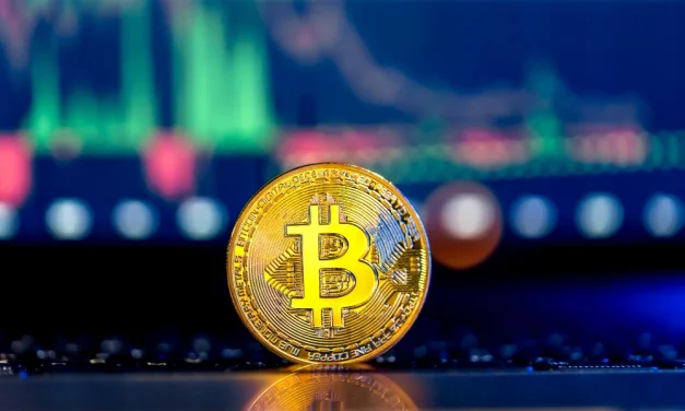 Pola Halving Sangat Penting Dalam Konteks Cryptocurrency
