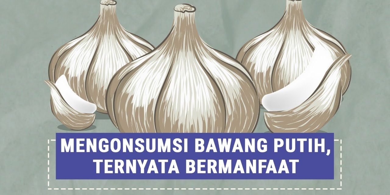 Bawang Putih Dapat Mengoptimalkan Sistem Imun Tubuh