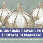 Bawang Putih Dapat Mengoptimalkan Sistem Imun Tubuh