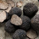 Jamur Truffle Yang Mahal Karena Sangat Sulit Untuk Di Temukan