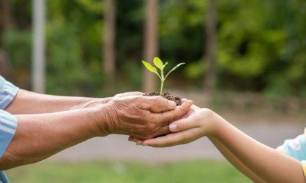 Peduli Lingkungan Langkah Kecil Selamatkan Masa Depan Bumi