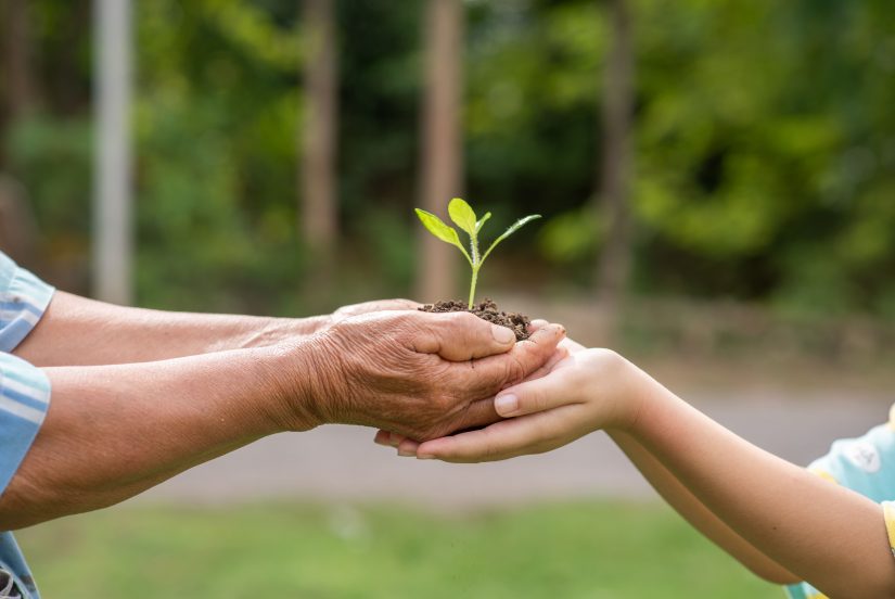 Peduli Lingkungan Langkah Kecil Selamatkan Masa Depan Bumi